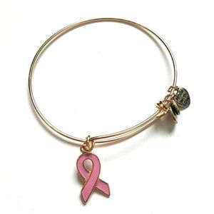 XoXo Breast Cancer Bangle Charm Bracelet Gold/Pink
